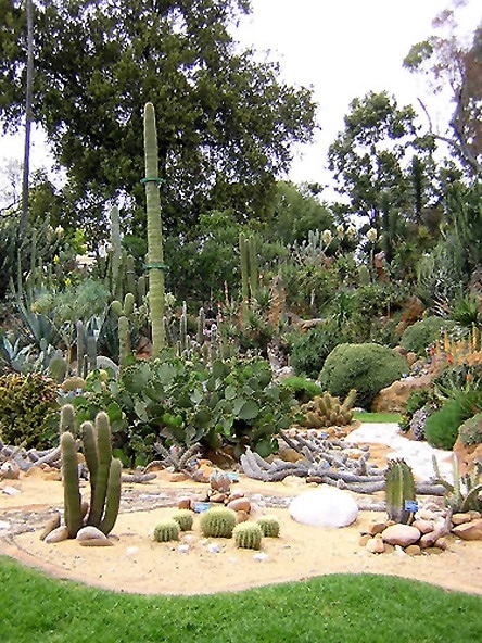 The Botanical Garden of the University of Naples - Locali d'Autore